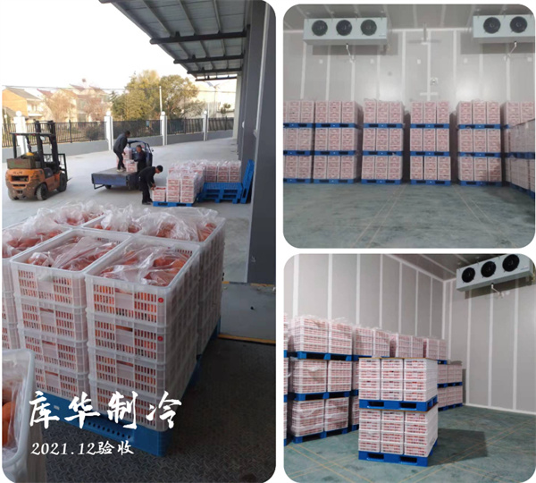 <b>大型氣調(diào)冷庫設計安裝</b>