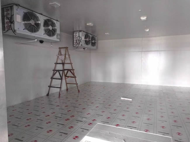 西紅柿冷庫建造 西紅柿氣調保鮮庫儲存方法